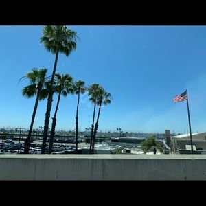 Meet your Posher, Savannah